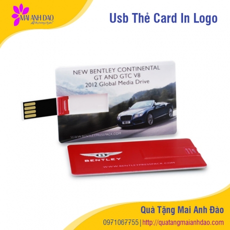 usb-the-card-in-logo-qua-tang-mai-anh-dao-17